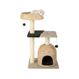 Kattenboom - Krabpaal - Kattenhuis - Kattenmand - Kattenspeelgoed - 60x45x104.5cm (LxWxH) SpirePets