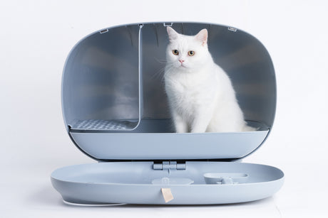 Kattenbak van Makesure - One size fits all - Designprijs Winaar - Licht Blauw