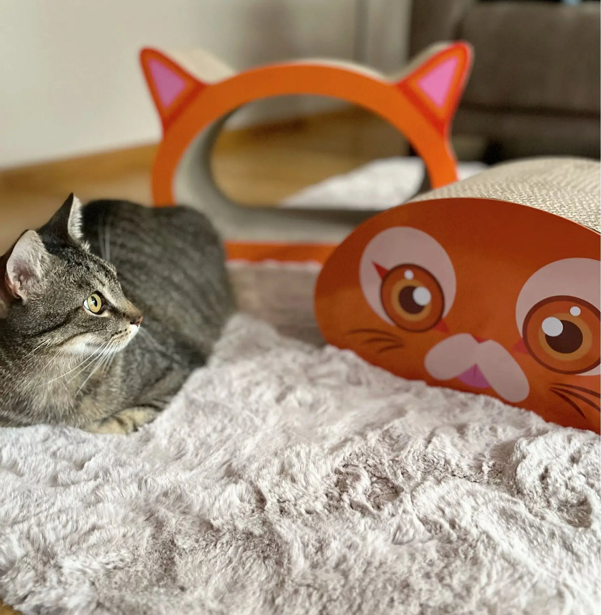 SpirePets Katten krabmat krabmeubel | katten krabplank | Katten speelmeubilair SPIRE-PETS