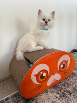 SpirePets Katten krabmat krabmeubel | katten krabplank | Katten speelmeubilair SpirePets