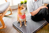 Hondenkussen - Slaapkussen voor Huisdieren - Orthopedisch en ademend - 30x22x6cm (LxBxH)) SpirePets