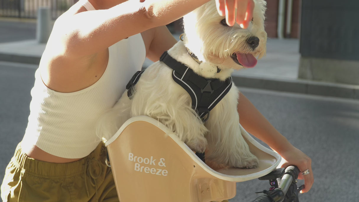 Brooke & Breeze Canine Copilot - Amber Light Orange