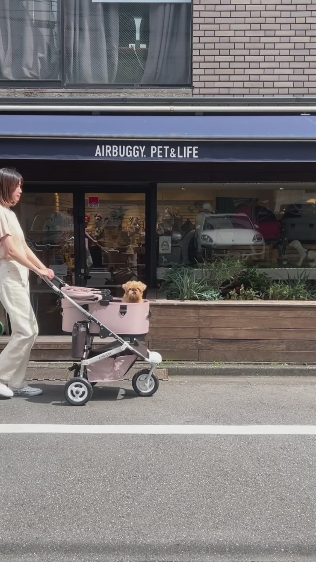 AirBuggy Dome 3 Large – Cacao – luxe hondenbuggy kattenbuggy