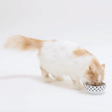 5 cm - voerbakje katten - kattenvoerbak