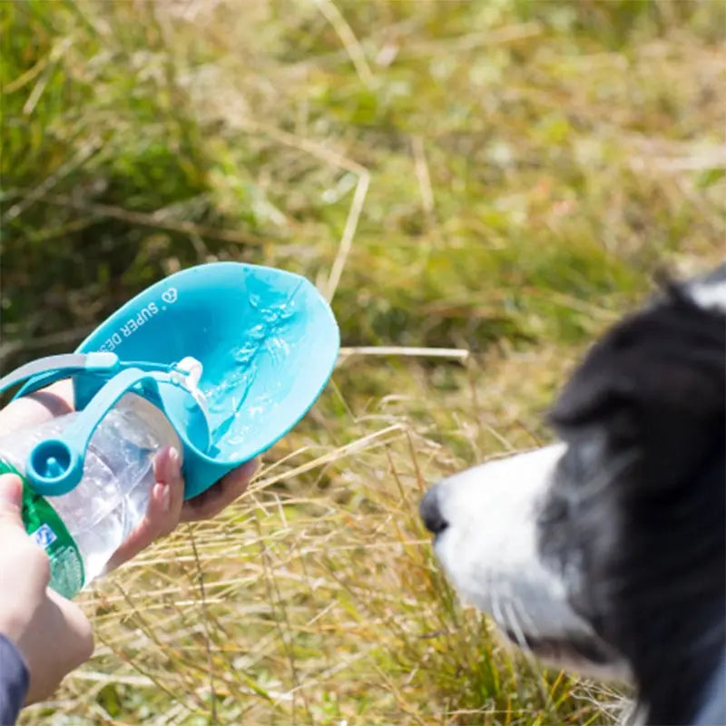 Fles met drinkdop voor honden | Silicone Leaf Waterfles | Groen | Huisdieren | Honden